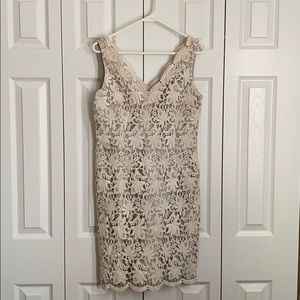 Ann Taylor Lace Dress 4